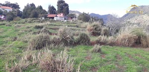Terreno Rstico T0 - Santa Cruz, Santa Cruz, Ilha da Madeira - Miniatura: 4/11