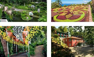 Prdio T0 - Monte, Funchal, Ilha da Madeira - Miniatura: 18/24