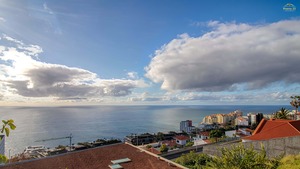 Moradia T3 - So Martinho, Funchal, Ilha da Madeira - Miniatura: 22/35