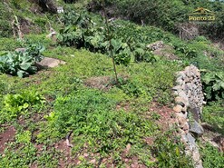 Terreno R�stico T0 - Arco de S�o Jorge, Santana, Ilha da Madeira - Miniatura: 17/30