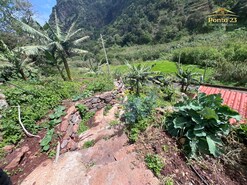 Terreno R�stico T0 - Arco de S�o Jorge, Santana, Ilha da Madeira - Miniatura: 20/30