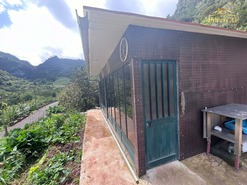 Terreno R�stico T0 - Arco de S�o Jorge, Santana, Ilha da Madeira - Miniatura: 22/30