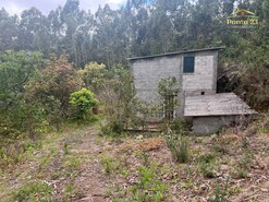 Terreno R�stico T0 - Arco de S�o Jorge, Santana, Ilha da Madeira - Miniatura: 1/13