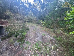 Terreno R�stico T0 - Arco de S�o Jorge, Santana, Ilha da Madeira - Miniatura: 4/13