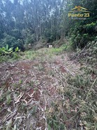Terreno R�stico T0 - Arco de S�o Jorge, Santana, Ilha da Madeira - Miniatura: 7/13