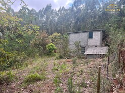 Terreno R�stico T0 - Arco de S�o Jorge, Santana, Ilha da Madeira - Miniatura: 10/13
