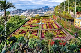 Apartamento T2 - Funchal, Funchal, Ilha da Madeira - Miniatura: 12/12