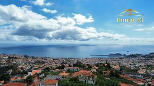 Apartamento T3 - Monte, Funchal, Ilha da Madeira - Miniatura: 2/13