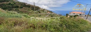 Terreno Rstico T0 - Tabua, Ribeira Brava, Ilha da Madeira