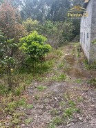 Terreno Rstico T0 - Arco de So Jorge, Santana, Ilha da Madeira - Miniatura: 9/13