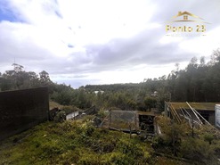 Apartamento T0 - Camacha, Santa Cruz, Ilha da Madeira - Miniatura: 9/17