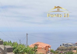 Terreno R�stico T0 - Arco da Calheta, Calheta (Madeira), Ilha da Madeira - Miniatura: 3/6