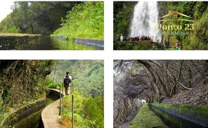 Pr�dio T0 - Monte, Funchal, Ilha da Madeira - Miniatura: 19/24