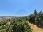 Apartamento T3 - Abrantes, Abrantes, Santarm - Miniatura: 6/9