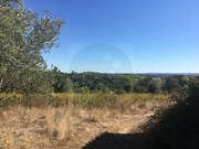Terreno Rstico - Valhascos, Sardoal, Santarm - Miniatura: 2/3