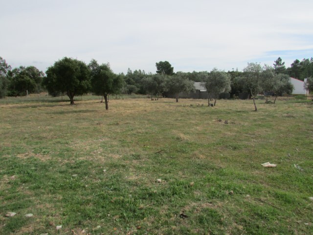 Terreno Rstico - Pego, Abrantes, Santarm - Imagem grande