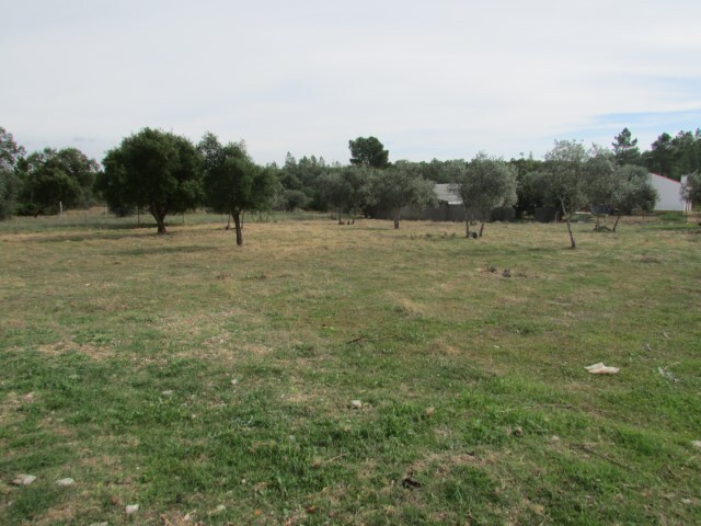 Terreno R�stico - Pego, Abrantes, Santar�m - Imagem grande