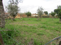 Terreno Rstico - Alvega, Abrantes, Santarm