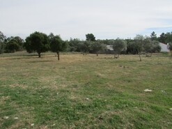 Terreno Rstico - Pego, Abrantes, Santarm