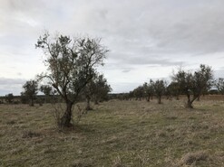 Terreno Rstico - Santo Amaro, Sousel, Portalegre