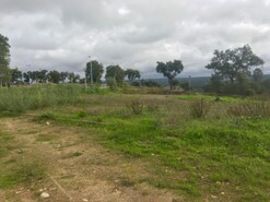 Terreno Urbano - S�o Miguel do Rio Torto, Abrantes, Santar�m