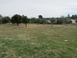 Terreno R�stico - Pego, Abrantes, Santar�m