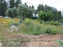 Terreno Urbano - Abrantes, Abrantes, Santar�m
