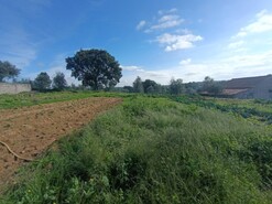 Quinta - Sardoal, Sardoal, Santarm