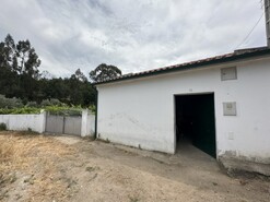 Quinta - Alvega, Abrantes, Santarm