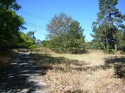 Quinta - Tramagal, Abrantes, Santarm - Miniatura: 2/9