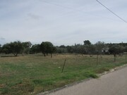 Terreno R�stico - Pego, Abrantes, Santar�m - Miniatura: 1/9