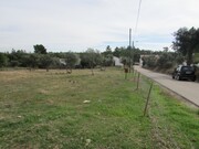 Terreno R�stico - Pego, Abrantes, Santar�m - Miniatura: 2/9