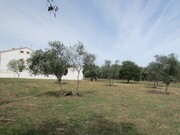 Terreno R�stico - Pego, Abrantes, Santar�m - Miniatura: 7/9