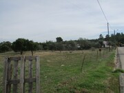 Terreno R�stico - Pego, Abrantes, Santar�m - Miniatura: 8/9