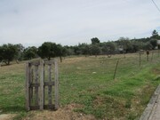 Terreno R�stico - Pego, Abrantes, Santar�m - Miniatura: 9/9