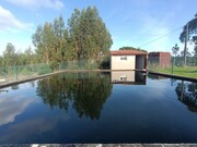 Quinta - Sardoal, Sardoal, Santarm - Miniatura: 1/9