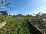 Quinta - Sardoal, Sardoal, Santarm - Miniatura: 5/9