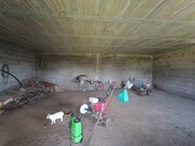 Quinta - Sardoal, Sardoal, Santarm - Miniatura: 8/9