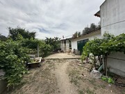 Quinta - Alvega, Abrantes, Santarm - Miniatura: 3/9