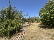 Quinta T3 - Mouriscas, Abrantes, Santar�m - Miniatura: 9/9