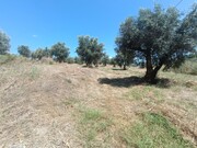 Terreno Urbano - Sardoal, Sardoal, Santar�m - Miniatura: 1/5