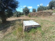 Terreno Urbano - Sardoal, Sardoal, Santar�m - Miniatura: 2/5