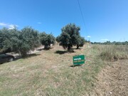 Terreno Urbano - Sardoal, Sardoal, Santar�m - Miniatura: 3/5