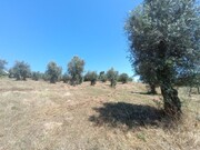 Terreno Urbano - Sardoal, Sardoal, Santar�m - Miniatura: 5/5