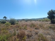 Terreno Urbano - Ortiga, Ma��o, Santar�m - Miniatura: 8/9