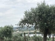 Terreno Urbano - Abrantes, Abrantes, Santarm - Miniatura: 6/9