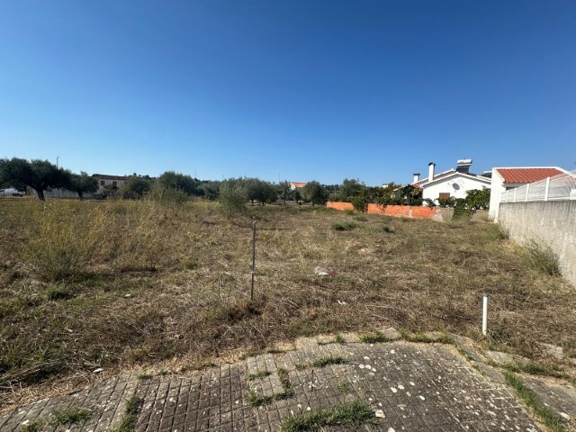 Outros - Abrantes, Abrantes, Santar�m - Imagem grande