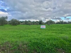 Terreno Rstico - Pego, Abrantes, Santarm