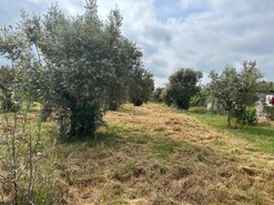 Terreno Urbano - Pego, Abrantes, Santarm