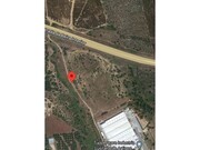 Terreno Industrial - Montalvo, Constncia, Santarm - Miniatura: 1/1